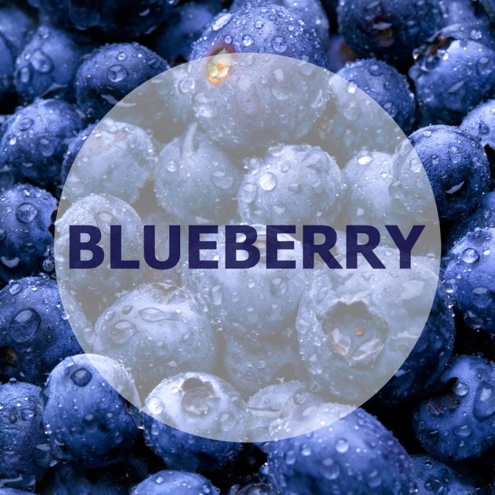 Blueberry Flavoured E-Liquid