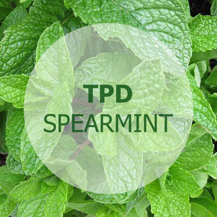 TPD Spearmint