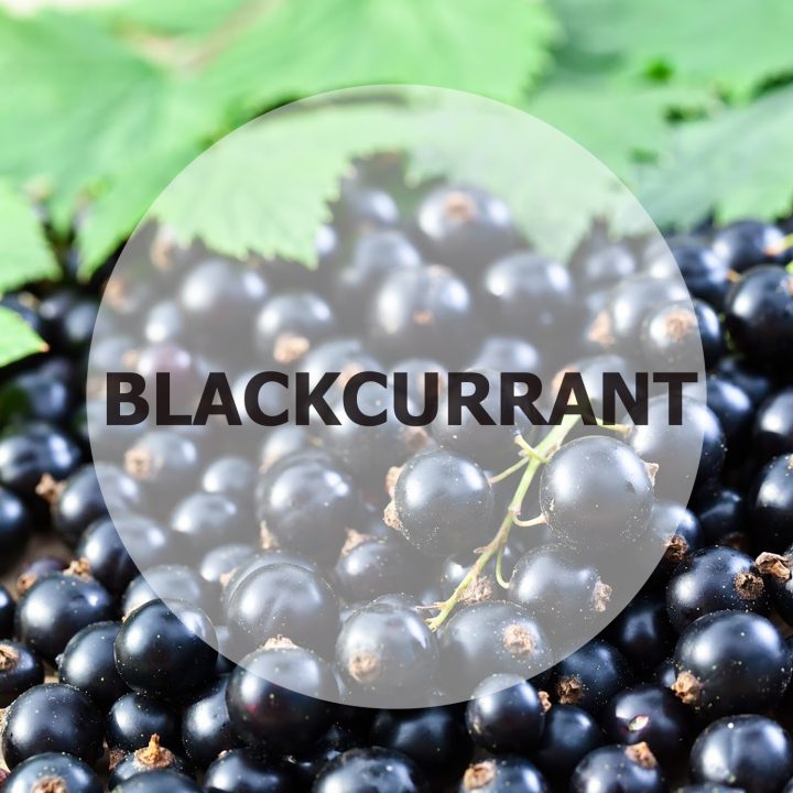 Blackcurrant Flavoured E-Liquid